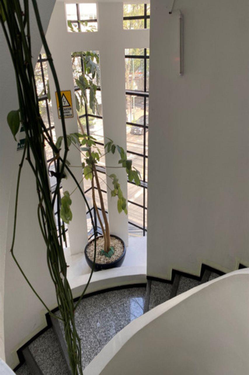 Flowsuites Polanco Città del Messico Esterno foto