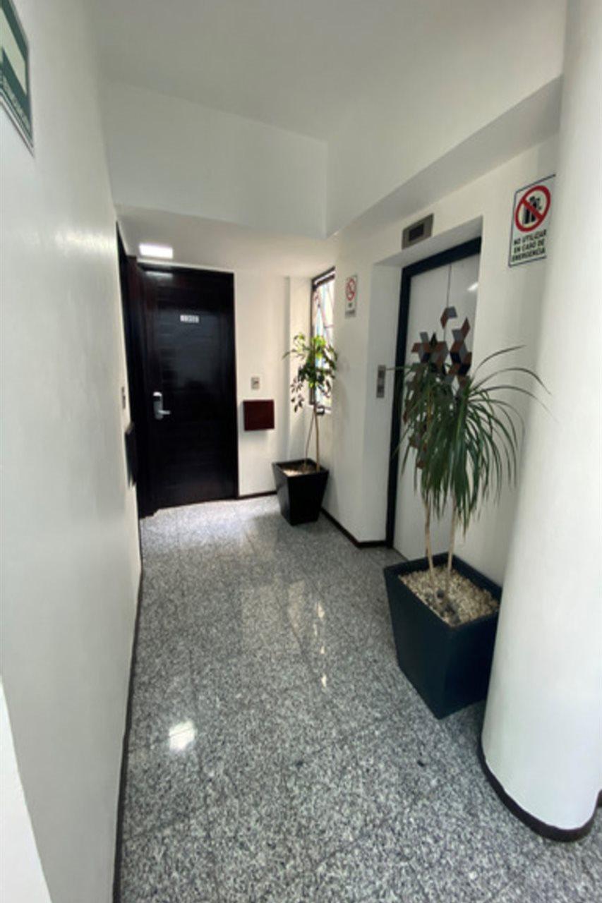 Flowsuites Polanco Città del Messico Esterno foto